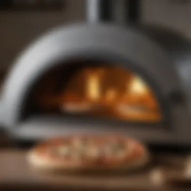 Notable A Comprehensive Exploration of the Koda 16 Pizza Oven