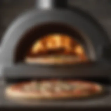 A Comprehensive Exploration of the Koda 16 Pizza Oven Summary