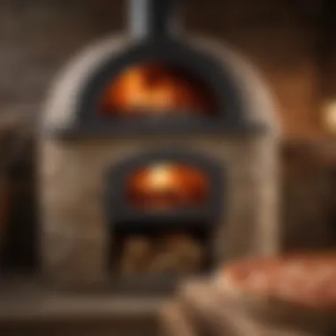 Artisanal wood-fired pizza oven