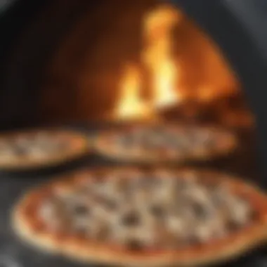 Versatile Culinary Creations with the BBQStar Oven Assorted pizzas prepared with BBQStar pizza oven highlighting versatility