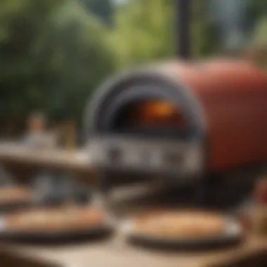 Essential Maintenance for Longevity and Performance Maintenance tips for BBQStar pizza oven presented with tools and care products