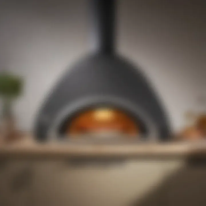 Modern pizza oven with sleek design