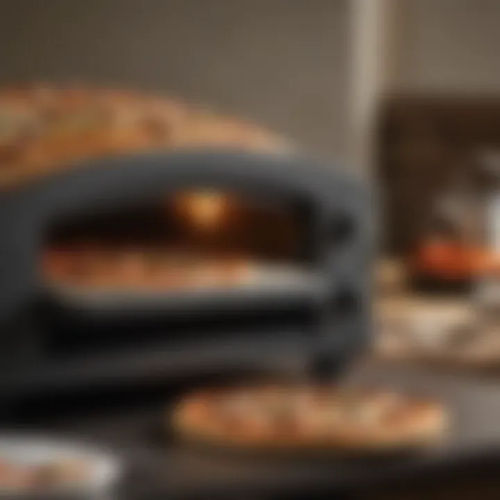 Compact pizza oven with precision control