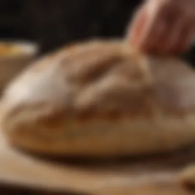 Bread dough rising on specialty stone