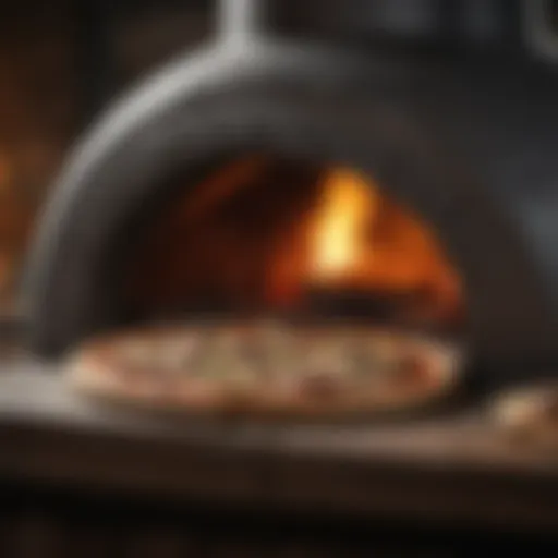Various materials for constructing a pizza oven