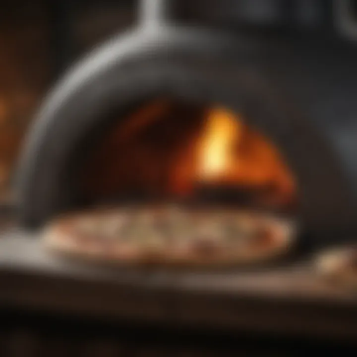 Various materials for constructing a pizza oven