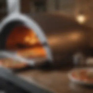 Close-up of Camp Chef Italia Pizza Oven Design