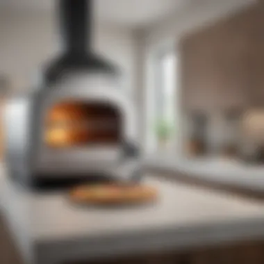 Space-Saving Solution for Contemporary Kitchens Compact countertop pizza oven for modern kitchens