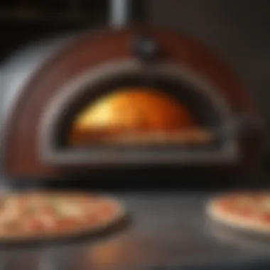 Modern Gas Pizza Oven A modern gas pizza oven showcasing sleek design and functionality