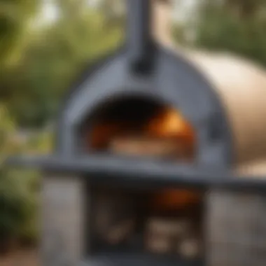 A well-maintained pizza oven ready for use, emphasizing care and upkeep