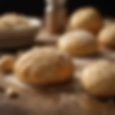 Exploring Alternative Leavening Agents Alternative leavening agents for dough