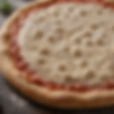 Well-Developed Pizza Dough Texture A flat surface dusted with flour, featuring a perfectly shaped pizza dough ready for toppings.