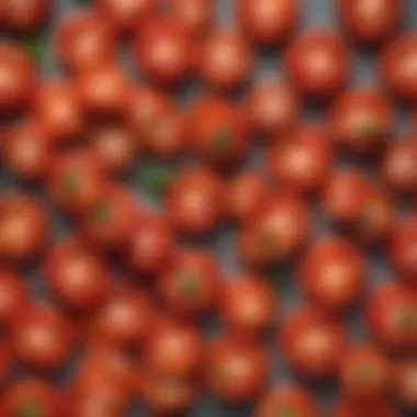 Vibrant and Fresh Tomatoes Ready for Slicing Perfectly Ripened Juicy Tomatoes