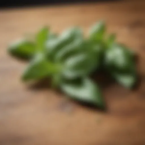 Fresh basil leaves on a wooden surface