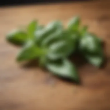 Aromatic Basil Leaves Fresh basil leaves on a wooden surface