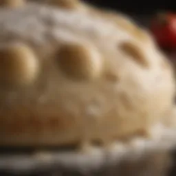 A close-up of freshly kneaded pizza dough with a dusting of flour