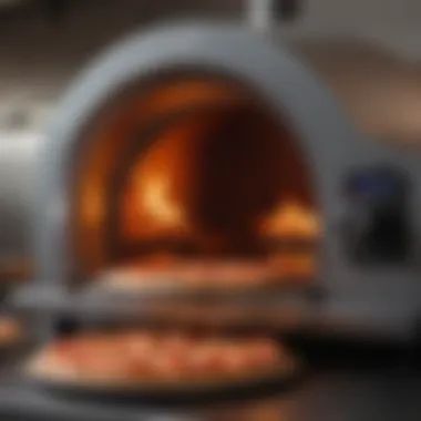 Intricate Rotating Oven Design Cutting-edge rotating pizza oven design