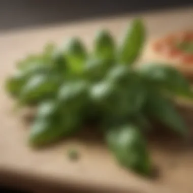 Fresh Basil Leaves Fresh basil leaves