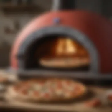 Domino's Extra Large Pizza Oven