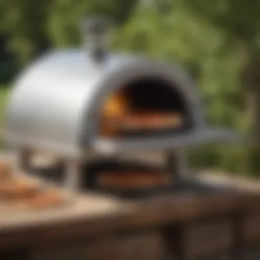 Sleek Durability in Design Stainless Steel Pizza Oven for Durable Outdoor Use