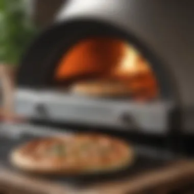 Efficient Propane Pizza Oven Technology