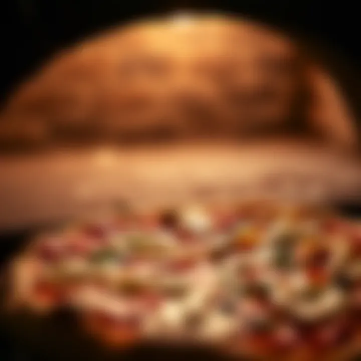 Perfectly Baked: The Quality of Pizza from Electric Ovens Close-up of a pizza baked in an electric brick oven