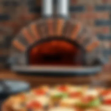 A Clash of Techniques: Electric Brick versus Wood-Fired Ovens Comparison of electric brick oven and traditional wood-fired oven