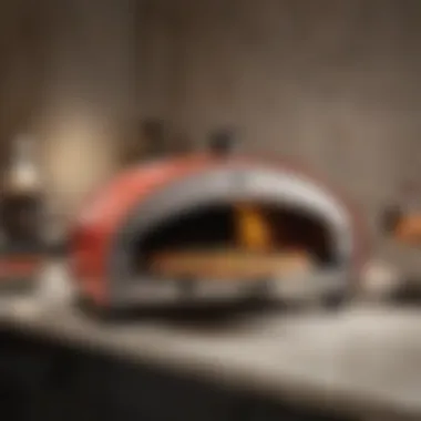 Elegant compact countertop pizza oven