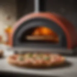 Elegant countertop pizza oven with sleek design