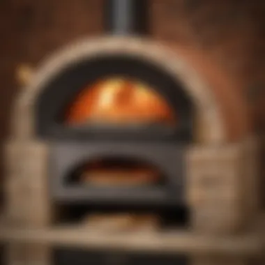 Sleek Wood-Fired Elegance Elegant and efficient wood-fired pizza oven