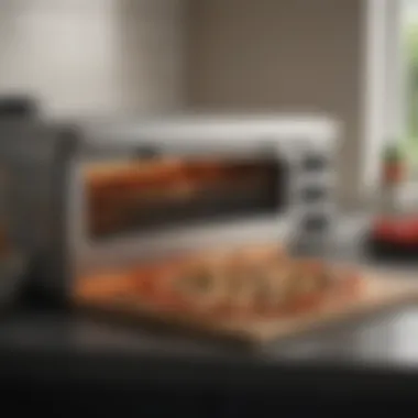 Elegant and modern countertop pizza oven