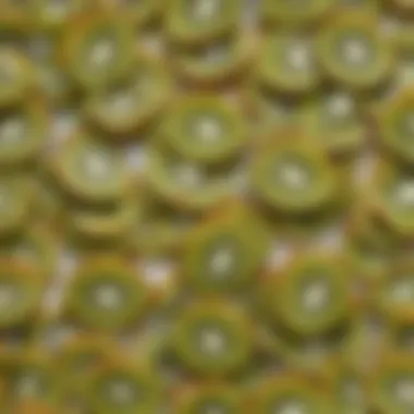 Kiwi Fruit Patterns Artistic Kiwi Fruit Patterns
