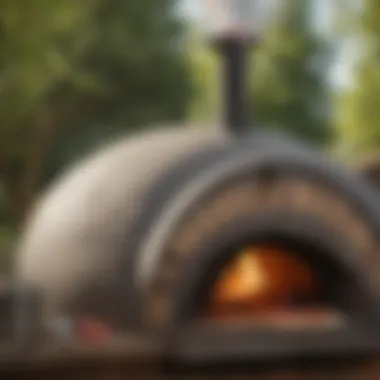 Wood-Fired Pizza Oven in Action