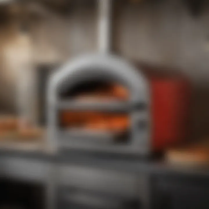 Sleek and efficient pizza oven