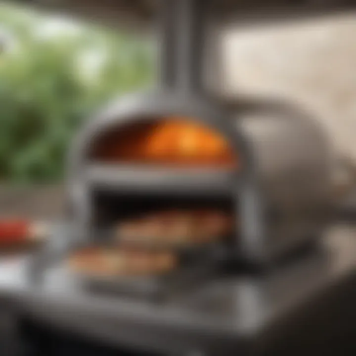 Sleek stainless steel gas-powered pizza oven