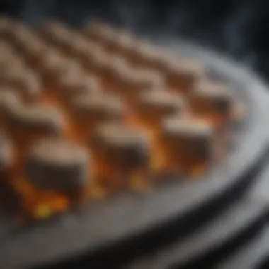 Heat Retention Dynamics of Ceramic Grill Stones Close-up of a ceramic grill stone displaying its heat retention qualities