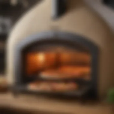 Efficient Gas Pizza Oven Efficient Gas Pizza Oven