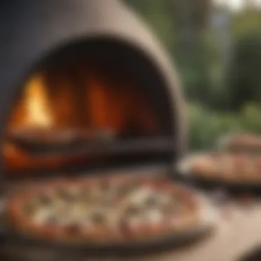 A variety of dishes cooked in an outdoor pizza oven