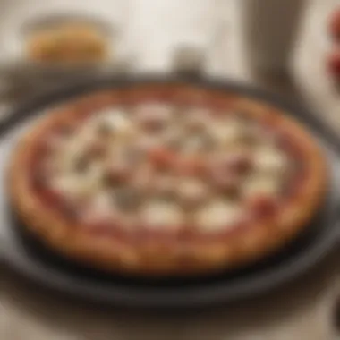 Domino's Dish Culinary Icon Domino's Dish Culinary Icon