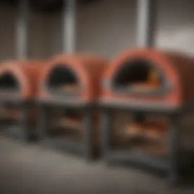 Showcasing various models of electric Neapolitan pizza ovens in a culinary setting.