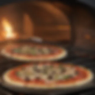 A variety of pizzas baked perfectly to illustrate oven capabilities