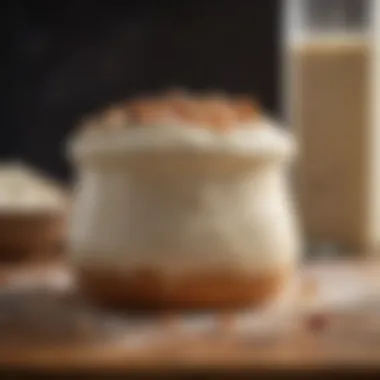 Sourdough starter close-up