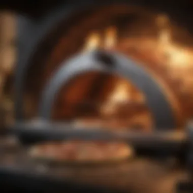 Essential Maintenance for Optimal Performance A well-maintained large pizza oven demonstrating best practices for longevity.
