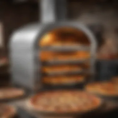 Diverse Types of Large Pizza Ovens An array of different types of large pizza ovens available in the market.