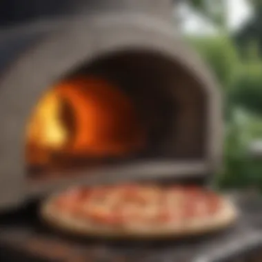 Delicious pizza being cooked in an outdoor oven