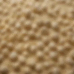 A close-up view of OO flour with its fine texture highlighting its quality.