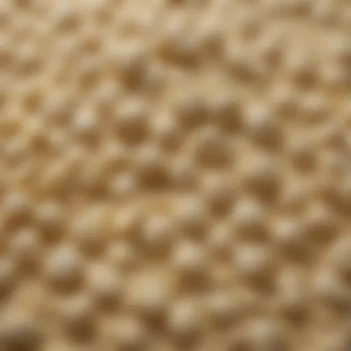 A close-up view of OO flour with its fine texture highlighting its quality.