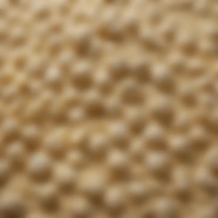 A close-up view of OO flour with its fine texture highlighting its quality.