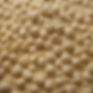 The Fine Texture of OO Flour A close-up view of OO flour with its fine texture highlighting its quality.