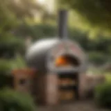 Variety of outdoor pizza ovens displayed in a garden setting